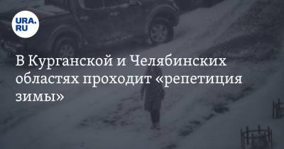 В Курганской и Челябинских областях проходит «репетиция зимы» - ura.news - Красноярский край - Челябинская обл. - Курганская обл.
