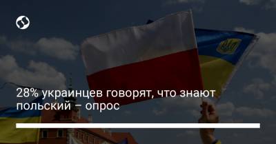 28% украинцев говорят, что знают польский – опрос - liga.net - Украина - Польша