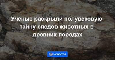 Ученые раскрыли полувековую тайну следов животных в древних породах - news.mail.ru - Китай - США - Австралия - Швеция - Лос-Анджелес