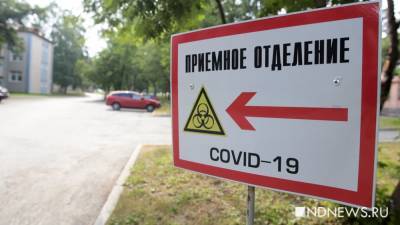 Павел Креков - Под лечение коронавируса в Свердловской области выделили еще 200 коек - newdaynews.ru - Свердловская обл.