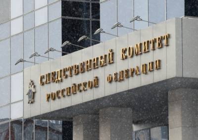 Алексей Навальный - В отношении Навального с соратниками возбуждено дело о создании экстремистского сообщества - interfax-russia.ru - Россия