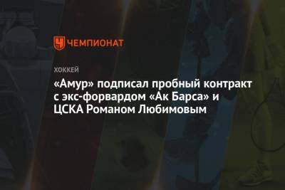 Роман Любимов - «Амур» подписал пробный контракт с экс-форвардом «Ак Барса» и ЦСКА Романом Любимовым - championat.com - Россия