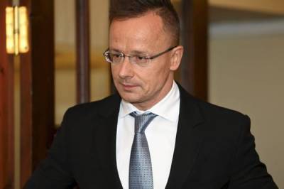 Сергей Макогон - Петер Сийярто - Глава МИД Венгрии Сийярто дал понять Киеву, что никто не может вмешиваться в решения страны в сфере энергетики - argumenti.ru - Россия - Украина - Киев - Венгрия