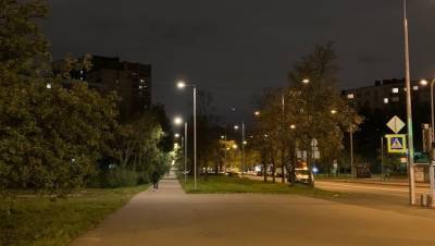 На улице Олеко Дундича в 3 раза увеличили количество светильников - dp.ru - Санкт-Петербург