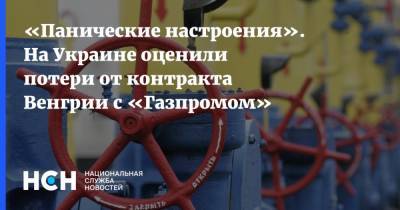 «Панические настроения». На Украине оценили потери от контракта Венгрии с «Газпромом» - nsn.fm - Украина - Венгрия