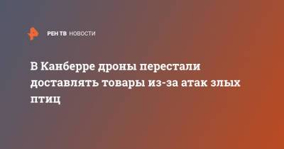 В Канберре дроны перестали доставлять товары из-за атак злых птиц - ren.tv - Австралия - Канберра