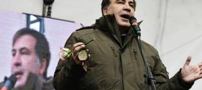 Ираклий Гарибашвили - Михеил Саакашвили - Гиули Аласания - Саакашвили планирует вернуться в Грузию. Премьер пригрозил ему немедленным арестом - w-n.com.ua - Киев - Грузия - Тбилиси