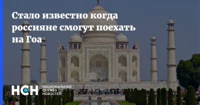 Юрий Барзыкин - Стало известно когда россияне смогут поехать на Гоа - nsn.fm - Россия - Индия - Россияне