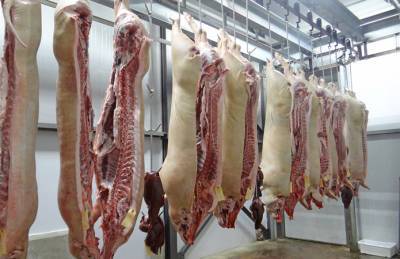 Переработка свинины замедляет темпы роста - agroportal.ua - Украина