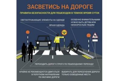 В сентябре на дорогах Марий Эл были сбиты 12 пешеходов - mk.ru - респ. Марий Эл