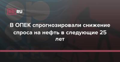 В ОПЕК спрогнозировали снижение спроса на нефть в следующие 25 лет - rb.ru
