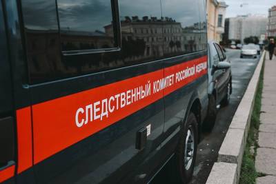 Ольга Врадий - Расследование совершенного в 2011 году убийства завершили в Московской области - vm.ru - Россия - Московская обл. - Липецкая обл. - Следственный Комитет - Московская область