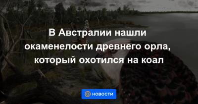В Австралии нашли окаменелости древнего орла, который охотился на коал - news.mail.ru - Австралия