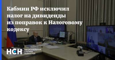 Михаил Мишустин - Кабмин РФ исключил налог на дивиденды из поправок к Налоговому кодексу - nsn.fm - Россия