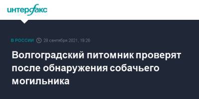 Светлана Радионова - Волгоградский питомник проверят после обнаружения собачьего могильника - interfax.ru - Москва - Волгоград