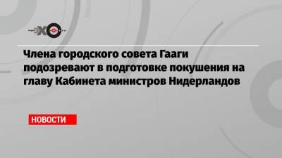 Марк Рютте - Члена городского совета Гааги подозревают в подготовке покушения на главу Кабинета министров Нидерландов - echo.msk.ru - Голландия - Гаага