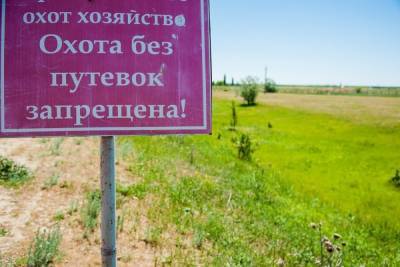 После начала сезона охоты в Астраханской области выявили 48 нарушений - volg.mk.ru - Астраханская обл.
