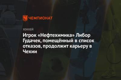Олег Леонтьев - Игрок «Нефтехимика» Либор Гудачек, помещённый в список отказов, продолжит карьеру в Чехии - championat.com - Чехия - Словакия
