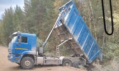 Мгновенная карма: в Вистино водитель грузовика застрял в канаве во время сброса отходов в лесу - ivbg.ru - Украина - Ленобласть