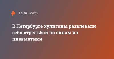 В Петербурге хулиганы развлекали себя стрельбой по окнам из пневматики - ren.tv - Санкт-Петербург