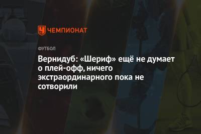 Юрий Вернидуб - Вернидуб: «Шериф» ещё не думает о плей-офф, ничего экстраординарного пока не сотворили - championat.com