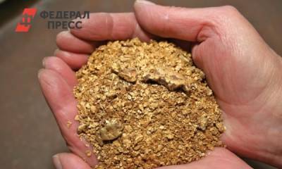 В Красноярском крае приостановили работу золотодобытчиков загрязняющих реку - fedpress.ru - Красноярский край - Красноярск - Экология