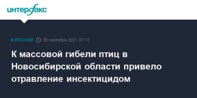 К массовой гибели птиц в Новосибирской области привело отравление инсектицидом - interfax.ru - Москва - Новосибирская обл.