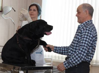 Дмитрий Кузнецов - Ветеринары рассказали, как предотвратить сердечные заболевания у домашних животных - vm.ru