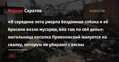 «В середине лета умерла бездомная собака и её бросили возле мусорки, она там по сей день»: жительница поселка Приволжский жалуется на свалку, которую не убирают с весны - nversia.ru - район Энгельсский