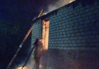 На пожаре в Александро-Невском районе погибли два человека - ya62.ru - Рязанская обл. - район Александро-Невский