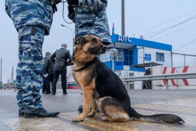 Под Волгоградом задержали пассажира микроавтобуса с наркотиками - volg.mk.ru - Россия - Волгоград - Волгоградская обл.