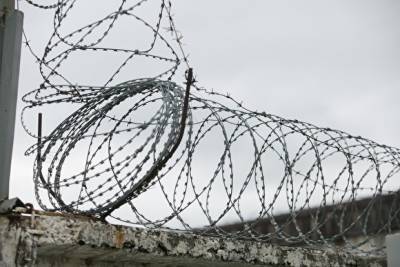 Челябинское минэкологии получило предупреждение за продвижение услуг колоний - znak.com - Россия - Челябинская обл. - Экология