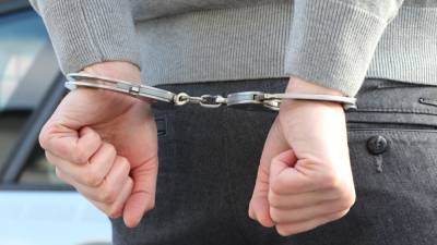 Правоохранители Забайкалья задержали подозреваемого в изнасиловании девятилетней девочки - inforeactor.ru - Россия