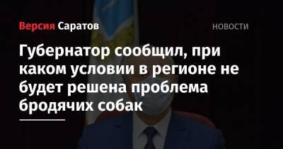 Валерий Радаев - Губернатор сообщил, при каком условии в регионе не будет решена проблема бродячих собак - nversia.ru - Россия - Саратовская обл.