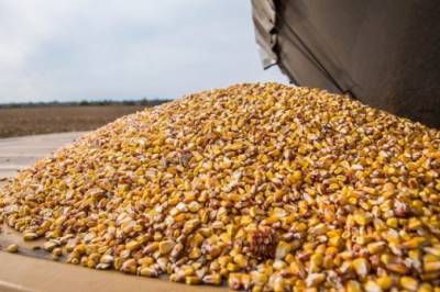 Украина — в ТОП-4 поставщиков продовольствия в ЕС - agroportal.ua - Украина - Англия