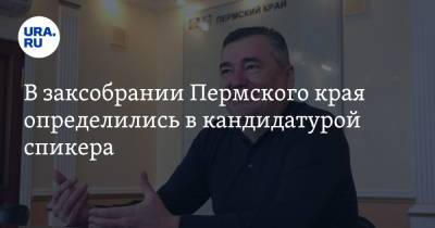 В заксобрании Пермского края определились в кандидатурой спикера - ura.news - Пермский край
