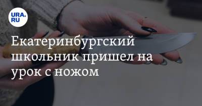 Екатеринбургский школьник пришел на урок с ножом - ura.news - Екатеринбург