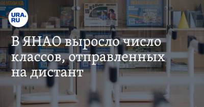 В ЯНАО выросло число классов, отправленных на дистант - ura.news - окр. Янао