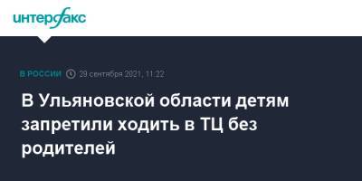 Алексей Русских - В Ульяновской области детям запретили ходить в ТЦ без родителей - interfax.ru - Москва - Ульяновская