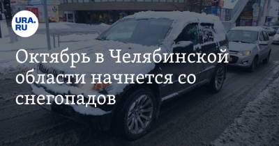 Октябрь в Челябинской области начнется со снегопадов. Скрин - ura.news - Челябинская обл.