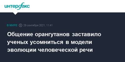 Общение орангутанов заставило ученых усомниться в модели эволюции человеческой речи - interfax.ru - Москва - Англия - Великобритания