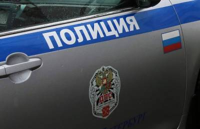 На севере Петербурга полиция задержала группу подростков с пистолетом - neva.today - Санкт-Петербург - р-н. Приморский
