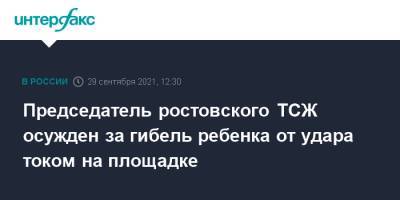 Председатель ростовского ТСЖ осужден за гибель ребенка от удара током на площадке - interfax.ru - Москва - Ростов-На-Дону