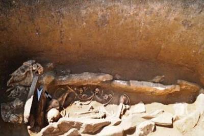 Археологи нашли погребение в каменном ящике и черепа животных на Алтае - lenta.ru - Китай - Алтайский край - респ. Алтай