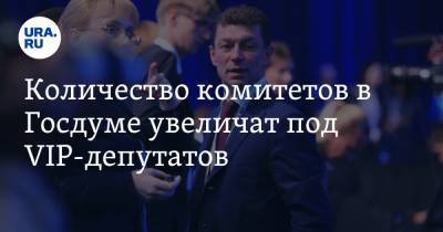Количество комитетов в Госдуме увеличат под VIP-депутатов - ura.news