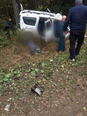 Подробности: в ДТП с тремя погибшими возле Лужиц тот, кто пошел на обгон, отделался царапиной - ivbg.ru - Украина - Ленинградская обл. - Санкт-Петербург