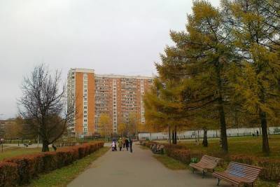 Татьяна Позднякова - Синоптик рассказала москвичам о погоде на выходных - mk.ru - Москва
