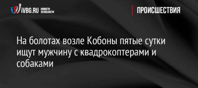 На болотах возле Кобоны пятые сутки ищут мужчину с квадрокоптерами и собаками - ivbg.ru - Украина - Ленинградская обл. - р-н Кировский