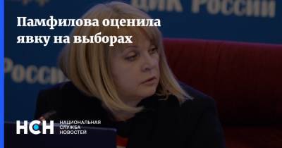 Элла Памфилова - Памфилова оценила явку на выборах - nsn.fm - Россия