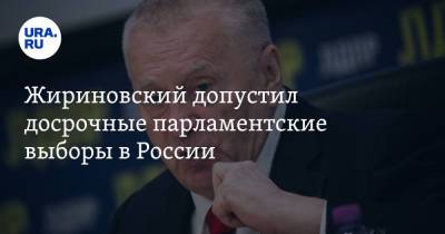 Владимир Путин - Владимир Жириновский - Жириновский допустил досрочные парламентские выборы в России - ura.news - Россия - Сочи - Белоруссия